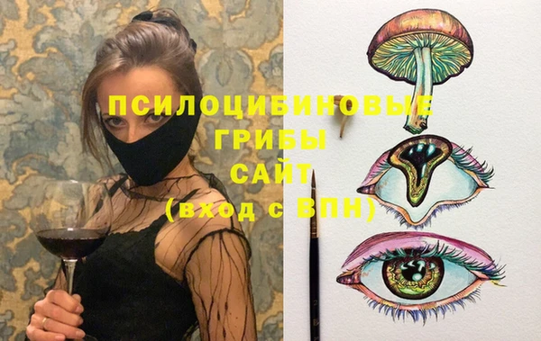эйфоретик Богданович