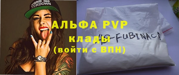 эйфоретик Богданович