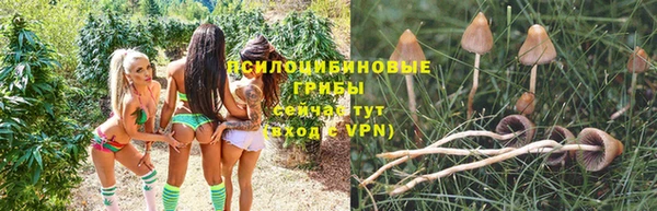 эйфоретик Богданович