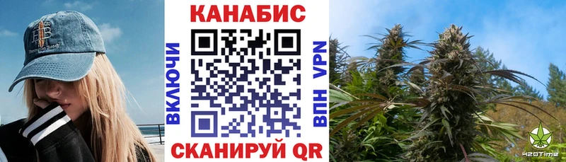 Купить закладки  Купино  Марихуана сатива 